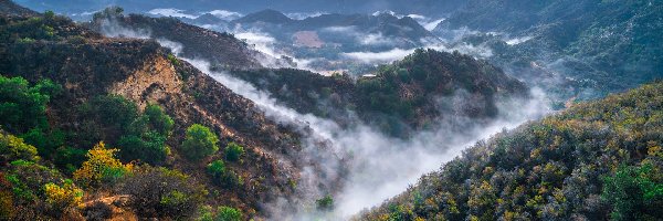 Trawy, Kalifornia, Roślinność, Mgła, Park stanowy Malibu Creek, Góry Santa Monica, Wąwóz, Stany Zjednoczone