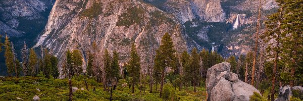 Roślinność, Drzewa, Góra, Góry, Park Narodowy Yosemite, Stany Zjednoczone, Kalifornia, Half Dome, Skały