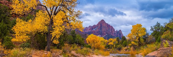 Chmury, Park Narodowy Zion, Stany Zjednoczone, Kamienie, Góra Watchman, Drzewa, Rzeka Virgin River, Jesień, Góry, Stan Utah