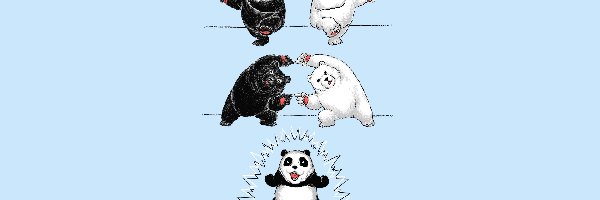Niedźwiedzie, Brunatny, Polarny, Rysunek, Panda