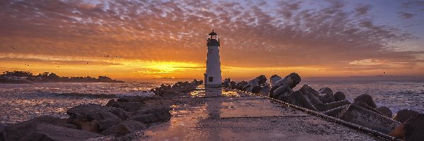 Santa Cruz, Latarnia morska Walton Lighthouse, Stany Zjednoczone, Ptaki, Wschód słońca, Niebo, Chmury, Morze, Kamienie, Stan Kalifornia