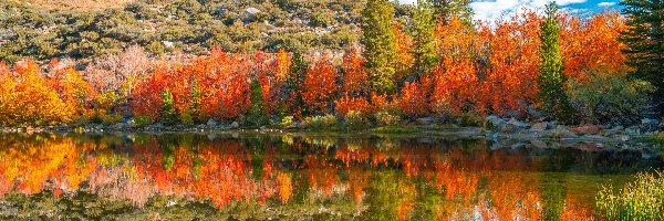 Góry, Drzewa, Jesień, Bishop Creek, Rzeka, Stany Zjednoczone, Kalifornia, Krzewy, Chmury