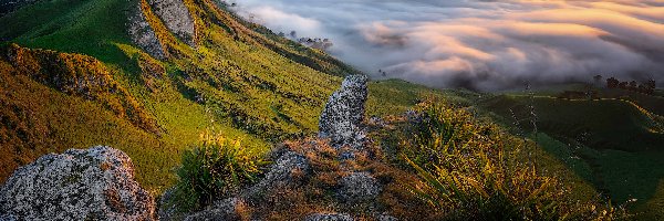 Rośliny, Skały, Opadająca, Góry, Wschód słońca, Nowa Zelandia, Tuki Tuki Valley, Mgła, Dolina