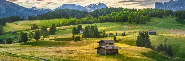 Drzewa, Góry Sassolungo, Włochy, Łąki, Płaskowyż, Seiser Alm, Domki, Dolina Val Gardena, Dolomity, Chmury