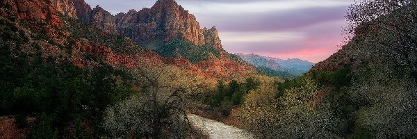 Góra Watchman, Stan Utah, Park Narodowy Zion, Drzewa, Góry, Rzeka, Virgin River, Stany Zjednoczone