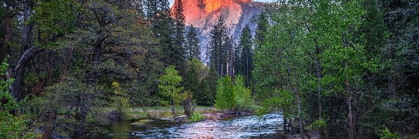 Góry, Rzeka, Stany Zjednoczone, Kalifornia, Merced River, Góra Half Dome, Drzewa, Park Narodowy Yosemite