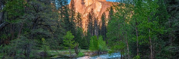 Góry, Kalifornia, Drzewa, Merced River, Park Narodowy Yosemite, Szczyt Half Dome, Rzeka, Stany Zjednocznone