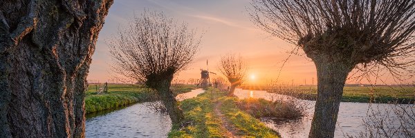 Holandia, Wschód słońca, Drzewa, Rzeka, Wiatraki, Wieś Kinderdijk, Wierzby