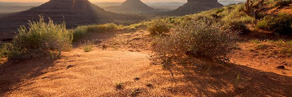 Stany Zjednoczone, Dolina Pomników, Skały, Region Monument Valley, Wyżyna Kolorado, Stan Utah, Krzewy
