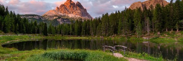 Tre Cime di Lavaredo, Jezioro, Drzewa, Mostek, Włochy, Góry, Masyw, Prowincja Belluno, Dolomity, Antorno Lake, Las