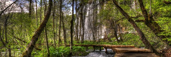 Pomost, Wodospad, Rzeka, Drzewa, Park Narodowy Jezior Plitwickich, Chorwacja