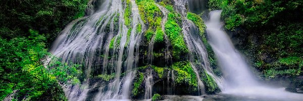 Miejsce chronione, Panther Creek Falls, Skała, Omszona, Drzewa, Stany Zjednoczone, Stan Waszyngton, Wodospad, Gifford Pinchot National Forest