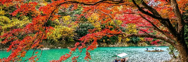 Łódki, Dzielnica Arashiyama, Kolorowe, Rzeka Hozu, Drzewa, Japonia, Kioto