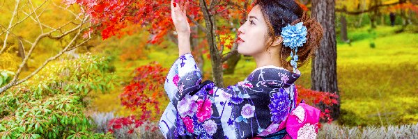 Drzewa, Kimono, Park, Jesień, Kobieta, Azjatka