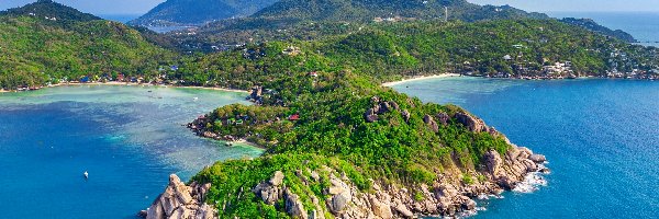 Tajlandia, Drzewa, Morze, Góry, Skały, Prowincja Surat Thani, Wyspa Ko Tao