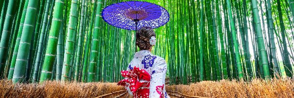 Las bambusowy, Schody, Kimono, Azjatka, Kobieta, Japonia, Kioto, Parasolka, Arashiyama Bamboo Forest