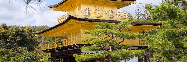 Złoty Pawilon, Kyko chi, Kinkaku-ji, Drzewa, Świątynia, Staw, Japonia, Kioto