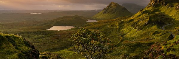 Szkocja, Drzewo, Chmury, Jeziora, Góry, Quiraing, Wyspa Skye