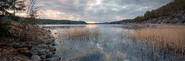 Trawy, Drzewa, Rosja, Karelia, Skały, Jezioro Ładoga, Zatoka Kiryavalahti, Zachód słońca