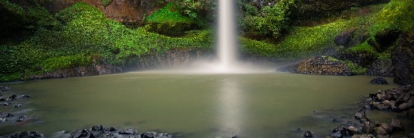 Skały, Rzeka, Bridal Veil Falls, Pakoka River, Wodospad, Rośliny, Nowa Zelandia, Region Waikato