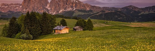 Val Gardena, Płaskowyż Seiser Alm, Góry Sassolungo, Drewniane, Łąka, Kwiaty, Dolina, Domy, Chmury, Włochy, Drzewa, Dolomity