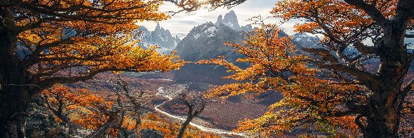 Drzewa, Patagonia, Promienie słońca, Gałęzie, Jesień, Góry, Szczyt Fitz Roy, Argentyna, Park Narodowy Los Glaciares, Rzeka Rio de las Vueltas