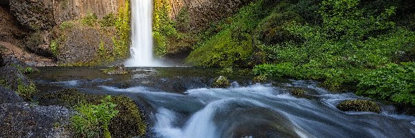North Umpqua River, Toketee Falls, Stany Zjednoczone, Stan Oregon, Rzeka, Skały, Drzewa, Wodospad
