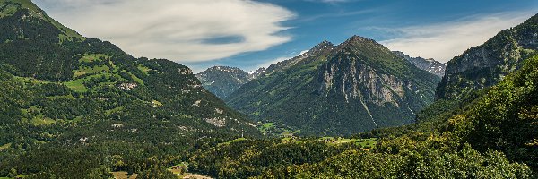 Domy, Dolina, Lasy, Alpy, Góry, Szwajcaria, Kanton Berno, Drzewa, Meiringen