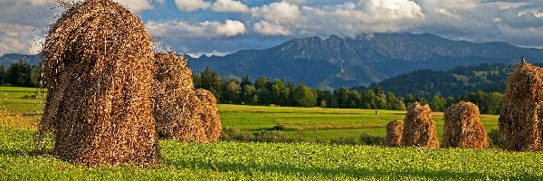 Góry, Farmy i pola, Polska, Podhale, Siano, Słoneczny, Blask, Łąka, Snopki, Tatry