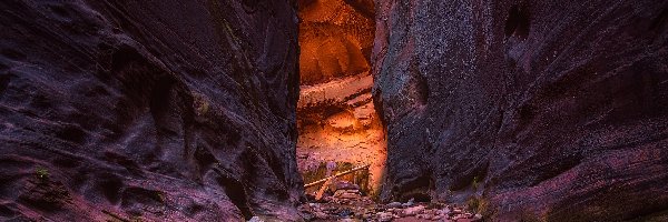 Rzeka, Kanion, Stany Zjednoczone, Stan Utah, Zion Narrows, Virgin River, Park Narodowy Zion, Skały