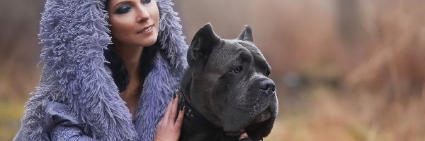 Kobieta, Duży, Makijaż, Cane corso, Pies