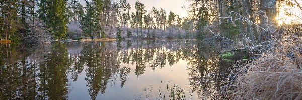Region Kymenlaakso, Drzewa, Trawy, Finlandia, Oszronione, Rzeka Virojoki