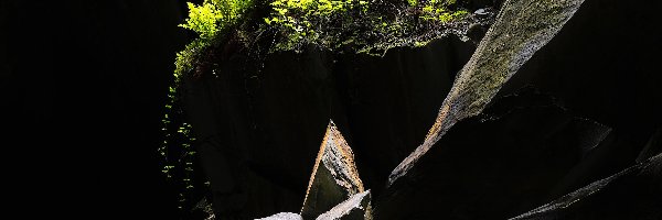 Cathedral Cave, Jaskinia, Paprocie, Grota, Skały, Anglia, Kumbria, Roślinność, Little Langdale