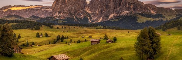 Seiser Alm, Sassolungo, Góry, Drzewa, Drewniane, Domy, Płaskowyż, Chmury, Val Gardena, Włochy, Dolina, Dolomity