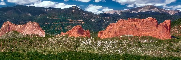 Rośliny, Garden of the Gods, Skały, Czerwone, Góry Skaliste, Kolorado, Colorado Springs, Park stanowy, Chmury