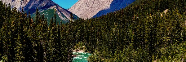 Lasy, Drzewa, Athabaska, Rzeka, Park Narodowy Jasper, Kanada, Alberta, Góry Skaliste, Obłoki