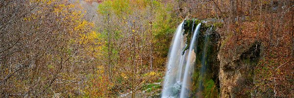 Stany Zjednoczone, Skały, Góry, Falling Spring Falls, Wodospad, Stan Wirginia, Drzewa