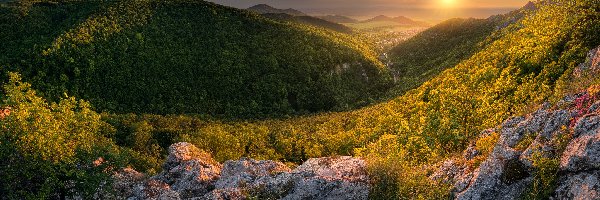 Roślinność, Skały, Lasy, Dolina, Zachód słońca, Góry