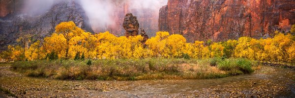 Stany Zjednoczone, Drzewa, Jesień, Skały, Park Narodowy Zion, Stan Utah, Rzeka