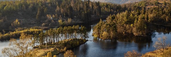 Góry, Lasy, Jezioro, Jesień, Drzewa