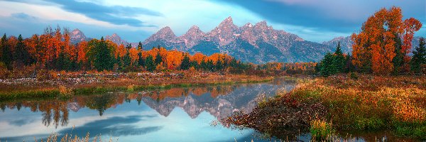 Trawa, Jesień, Chmury, Rzeka, Stany Zjednoczone, Snake River, Drzewa, Stan Wyoming, Pożółkłe, Góry, Park Narodowy Grand Teton