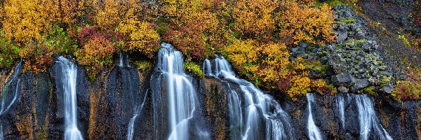Pożółkła, Skały, Jesień, Wodospad Hraunfossar, Islandia, Roślinność