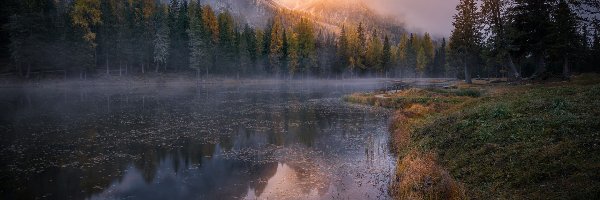 Mgła, Góry, Drzewa, Jesień, Wschód słońca, Trawa, Rzeka
