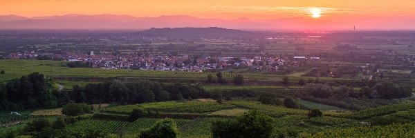 Winnice, Zachód słońca, Wzgórza, Drzewa, Kaiserstuhl, Niemcy