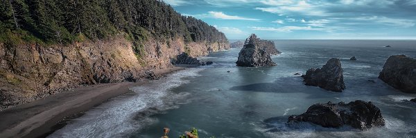 Drzewa, Klif, Stany Zjednoczone, Oregon, Morze, Park stanowy, Samuel H Boardman State Scenic Corridor, Skały