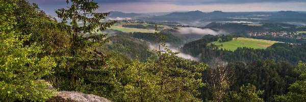 Niemcy, Góry Połabskie, Lasy, Skały, Park Narodowy Saskiej Szwajcarii, Wschód słońca, Drzewa