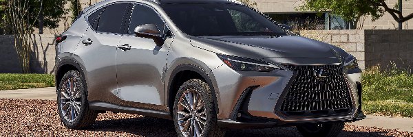 Lexus NX 350h