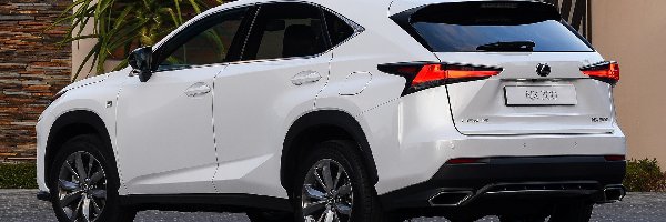 F-Sport, Lexus NX