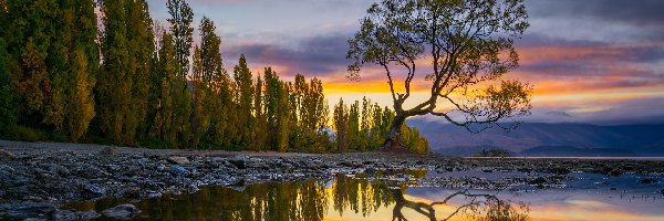 Drzewo, Chmury, Góry, Jezioro Wanaka, Jesień, Nowa Zelandia, Odbicie
