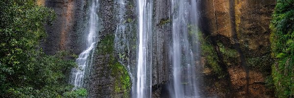 Roślinność, Putorino, Region Hawkes Bay, Shine Falls, Wodospad, Skały, Nowa Zelandia